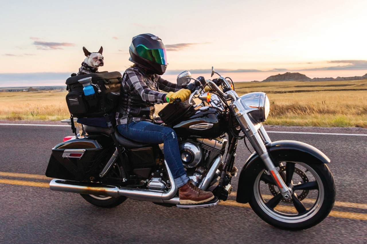 Grand Pet Palace (KYN-5288) Made by Kuryakyn, Lamonster Approved
#motorcyclepetcarrier #motorcycle #kuryakyn #petcarrier