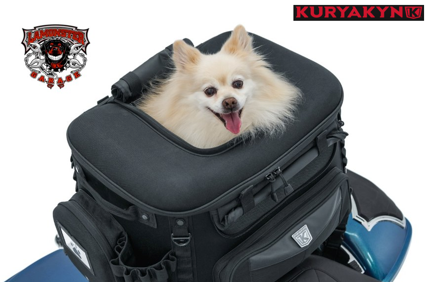 KURYAKYN - Grand Pet Palace (KUR5288) - Lamonster Garage
#motorcyclepetcarrier #motorcycle #kuryakyn #petcarrier #canamspyder