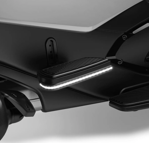 Passenger LED Floorboard Signature Lights 2020+ RT Models ( 219401153 ) - Lamonster Garage