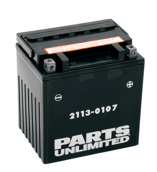 AGM Maintenance-Free Battery (2113-0107) - Lamonster Garage®