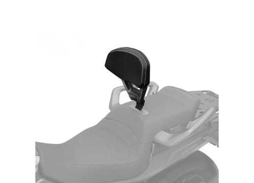 Can-Am Canyon Driver Backrest (219401176) - Lamonster Garage