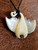 Pearl Shell Manta Ray BRPS331