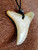 Shell Tooth Pendant BRPS346