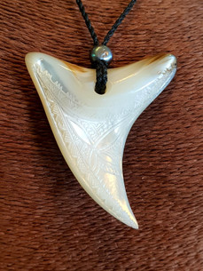 Shell Tooth Pendant BRPS345