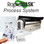 RapidMask process system