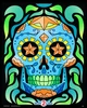 Sugar Skull Fusion - Calavera Fuzzy Velvet Coloring Poster