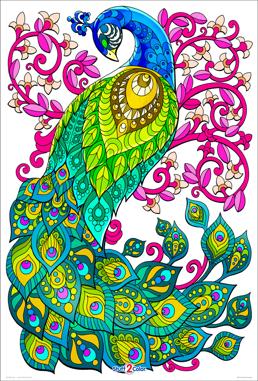 Ornate Peacock - Giant Detailed Coloring Poster for Kids and