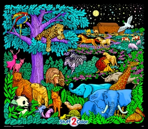 Noah's Night Sky - Velvet Coloring Poster