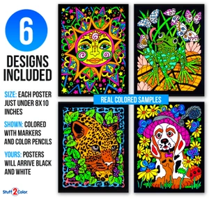 Sunshine, Kittens, Leopard, Puppy, Fairy, Frog (6-Pack)