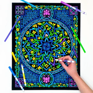 Lotus - Fuzzy Velvet Poster