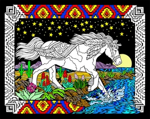 Midnight Bronco
