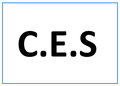 CES