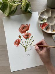 Botanical Watercolour for Beginners - Poppy Flower
