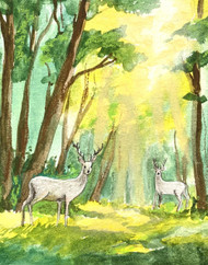 CHILDREN'S WORKSHOP - CYGNETS ART SCHOOL: SPRING TERM 2026