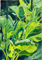 Exhibition: Lauren Bird - Paintings