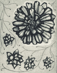 Exhibition: Lynda Tanner - Prints Inspired by the Natural World