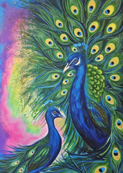 Exhibition: Peacock in Full Display