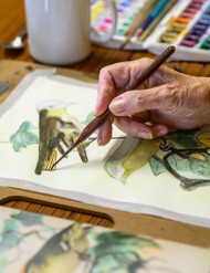 EXHIBITION: YATE & SODBURY U3A COMMUNITY ART GROUP PRESENT...