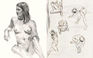 The Art Student's Survival Guide to: Life Drawing