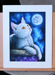 PET PORTRAITURE WORKSHOP