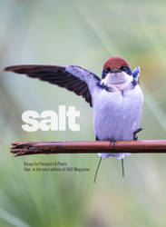 50% off SALT Magazine