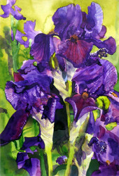 Watercolour Classes with Andrew Jenkin