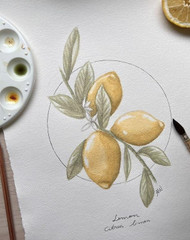 WATERCOLOUR PRACTICE GROUP 