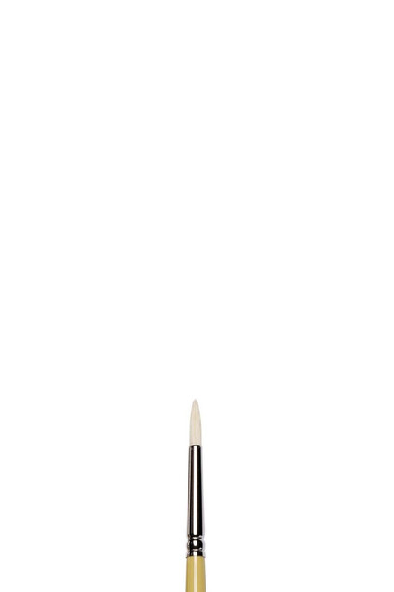  Winsor & Newton Hog Long Handle Round Brush 2 