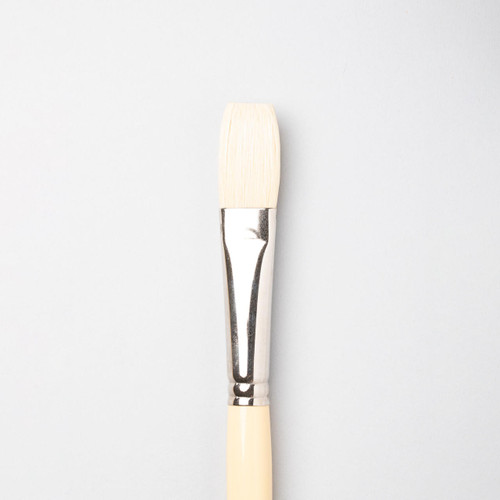  Cass Art Hog Bristle Flat Brush 12 