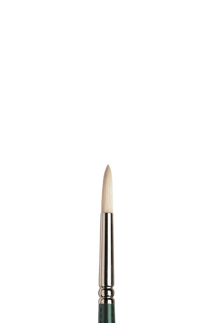  Winsor & Newton Winton Long Handle Round Brush 4 