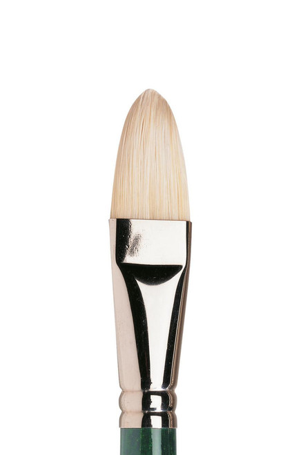  Winsor & Newton Winton Long Handle Filbert Brush 12 