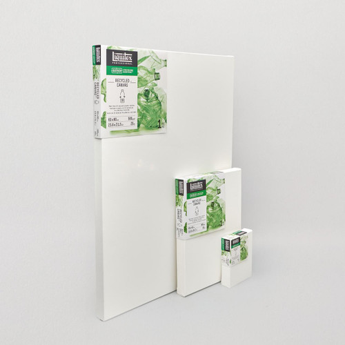  Liquitex Professional Recycled Canvas Deep Edge 