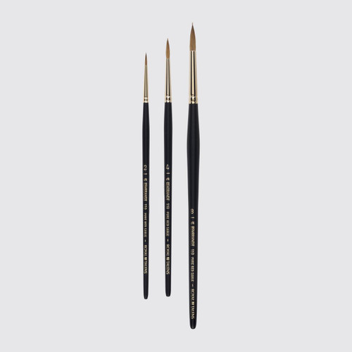  Rembrandt Watercolour Brush Set Series 110 No. 2-4-8 Set of 3 
