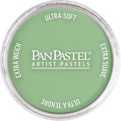 PanPastel Artists' Pastel Chromium Oxide Green Light 