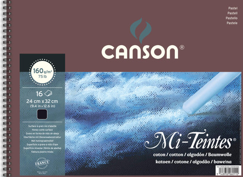  Canson Mi Teintes Pastel Paper Pad 20 sheets 160g 9.5 x 12.6 inches 24 x 32cm Black 