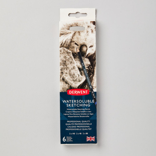  Derwent Watersoluble Sketching Pencil Tin Set of 6 