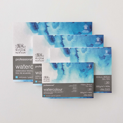 Winsor & Newton Professional Watercolour Block Cold Pressed (NOT) 300gsm 20 Sheets