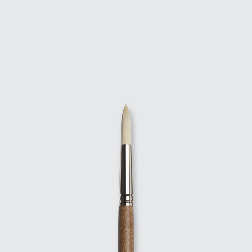  Winsor & Newton Professional Oil Synthetic Hog Round Brushes 8 