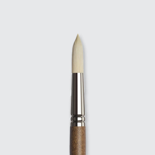  Winsor & Newton Professional Oil Synthetic Hog Round Brushes 20 