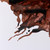  Winsor & Newton Ink 14ml Nut Brown 