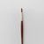  Pro Arte Acrylix Painting Brush Round Series 202 Size 5 