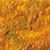 Winsor & Newton Galeria Acrylic Additive Large Grain Texture Gel 250ml 