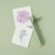  Tom's Studio Lumos Duotip Refillable Fineliner and Brush Pen Sage 