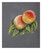  Clairefontaine PastelGrain N°1 Pad 12 Sheets 360gsm 30 x 40cm 