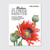 Search Press The Modern Flower Painter by Anna Mason 