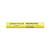  Caran D'ache Neopastel Oil Pastel Lemon Yellow 