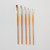  Pro Arte Prolene Plus Series 007/008 Watercolour Brush Set of 5 