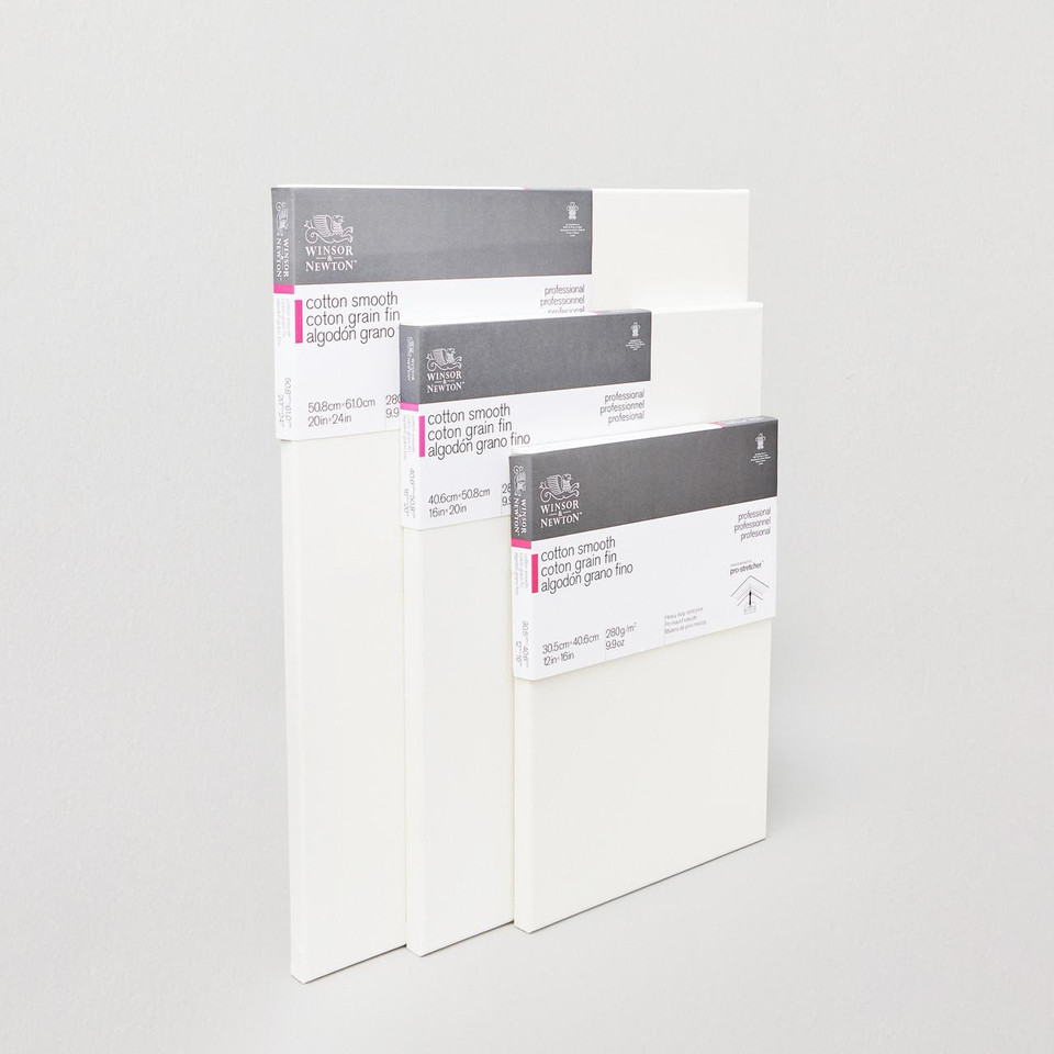 Winsor & Newton Professional Cotton Fine Detail Canvas