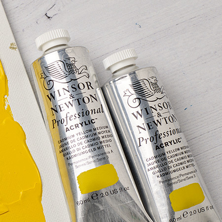 EXTRA 20% OFF WINSOR & NEWTON PROFESSIONAL ACRYLIC