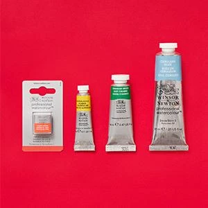 40% OFF RRP Winsor & Newton Professional Watercolour Individuals